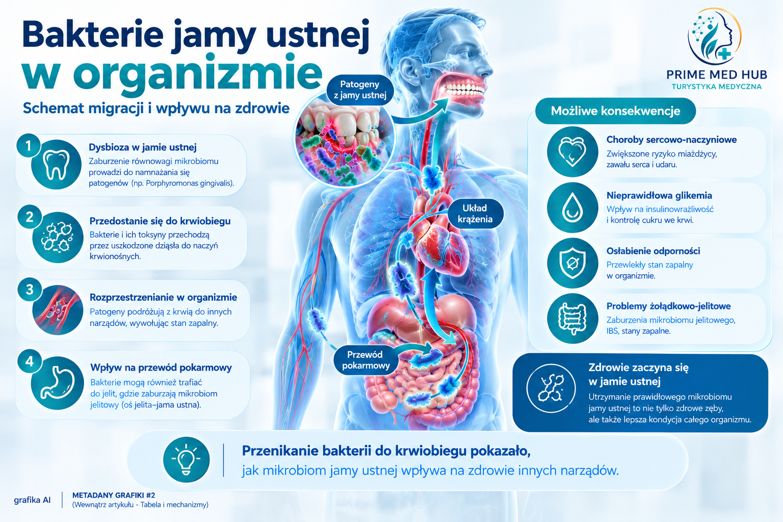 Schemat migracji bakterii z jamy ustnej do układu krążenia